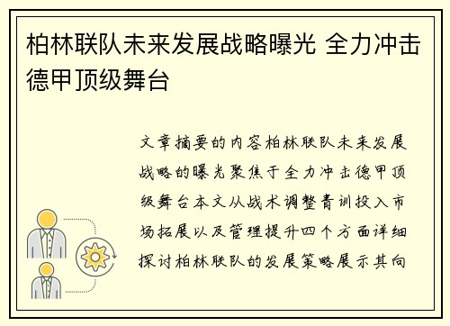 柏林联队未来发展战略曝光 全力冲击德甲顶级舞台